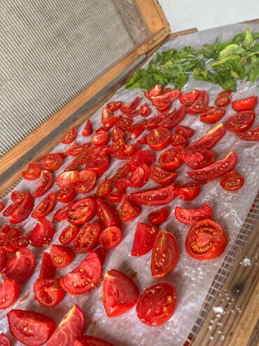 gazdovsky dvor u kartacov