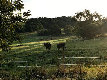 gazdovsky dvor u kartacov