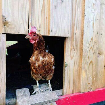 gazdovsky dvor u kartacov