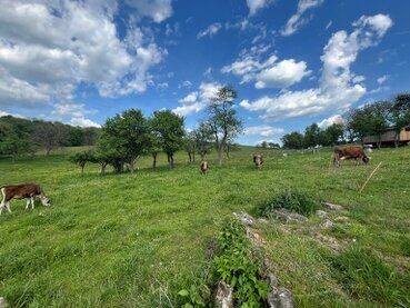 gazdovsky dvor u kartacov